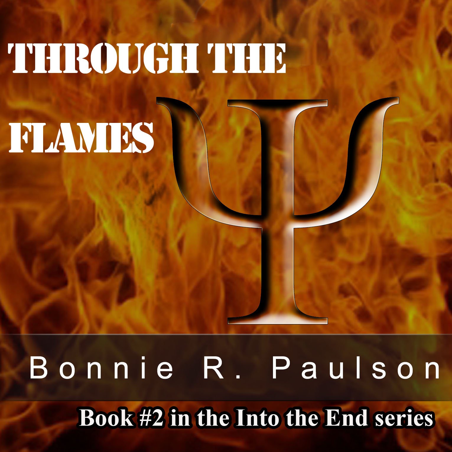 Cover art for Through the Flames
