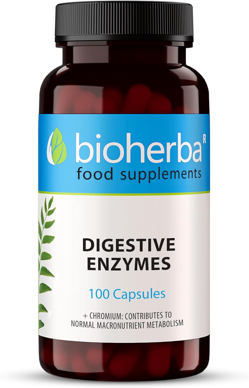 Digestive Enzymes Complex with Papaya, Bromelain & Chromium – 100 Capsules for Enzyme Support and Metabolism by BIOHERBA