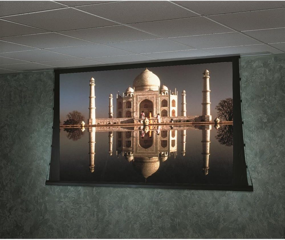 Draper 105033 Access Multiview/Series V Motorized Masking Projection