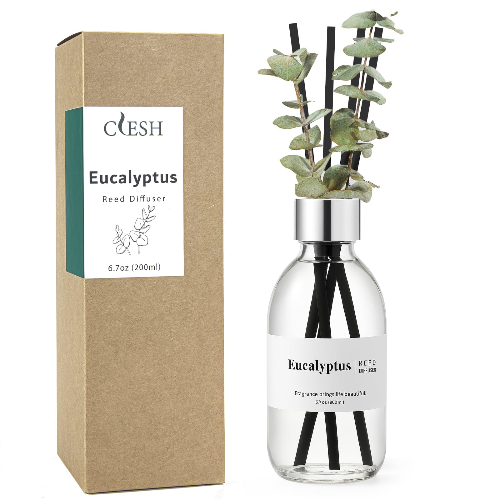 Clesh Reed Diffuser Set, 6.7 oz Eucalyptus Scented Diffuser with Sticks, Home Fragrance Reed Diffuser for Bathroom Shelf Decor