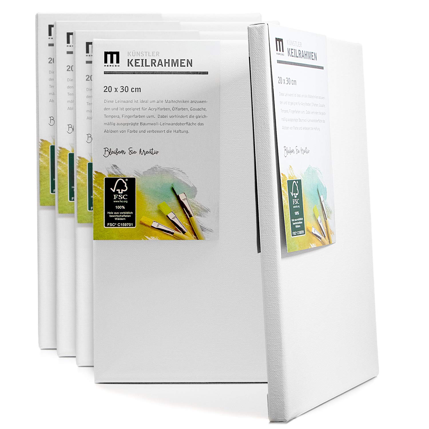 Buy Set of artist canvases for painting. The empty white canvas made