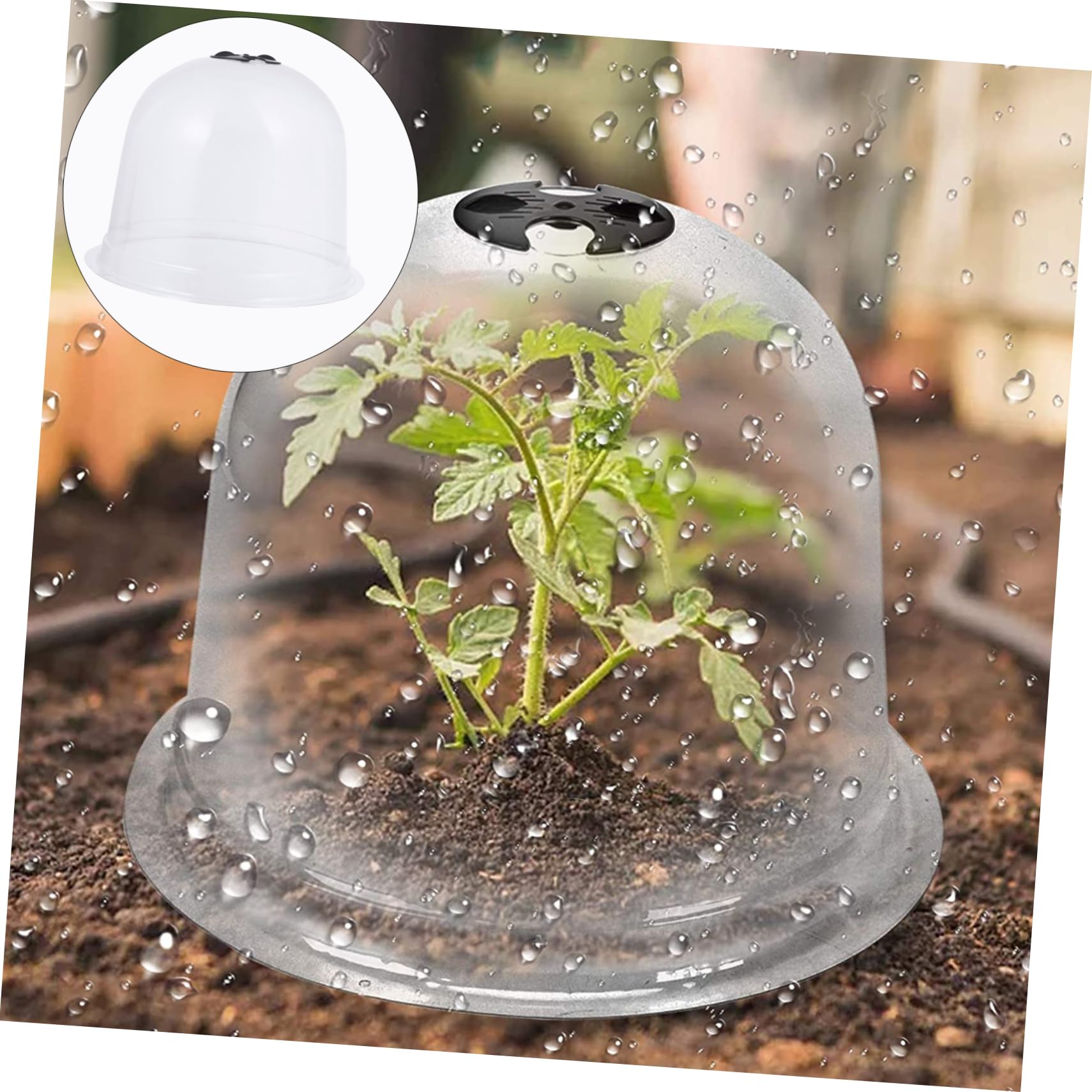 POPETPOP Cloches de Protection pour Plantes en PVC, Lot de 6 Pièces | Étiquettes de Jardin 10 Pièces et 18 Piquets de Fixation, Réutilisable, Résistance UV Couleur Aléatoire
