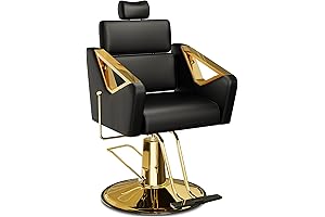 Baasha Salon Chair - Elevate Your Salon Experience