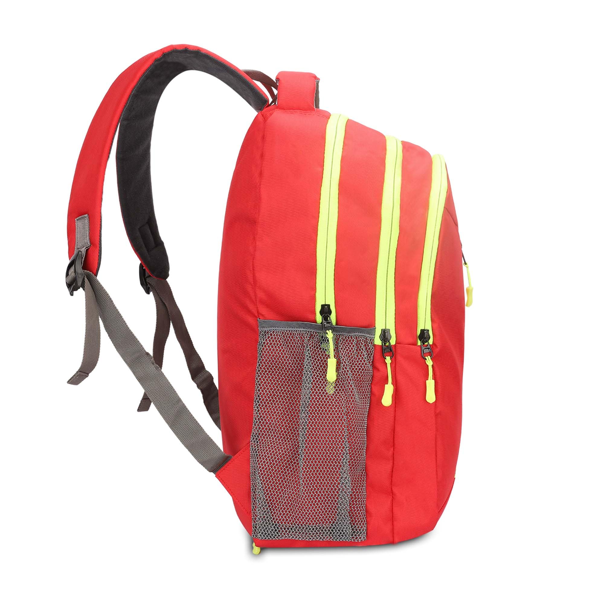 THE CLOWNFISH Madison Series 23 liters Polyester 15.6 inch Laptop Backpack with Backpack Cover Office College School Bag Travel Backpack For Men and Women (Red) 2
