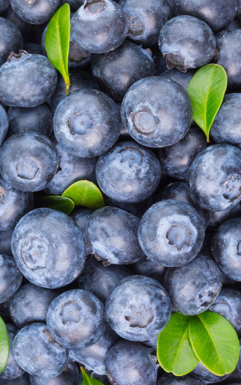 Fruit Live Wallpaper App on Amazon Appstore