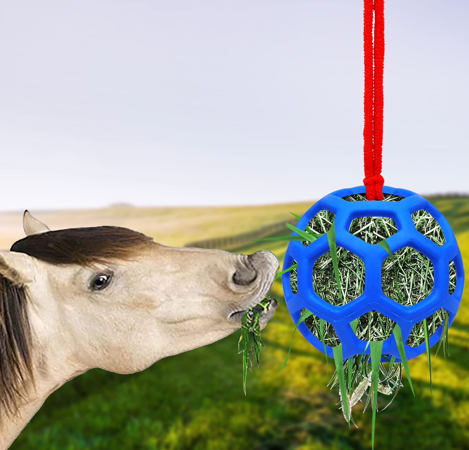 Buy 𝟐 𝐏𝐀𝐂𝐊 Horse Treat Ball Hay Feeder Holder Hanging Slow Feeding Toy