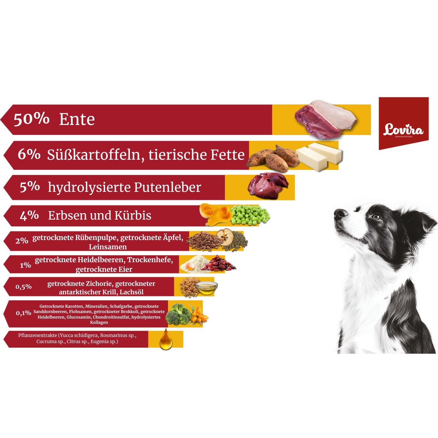 Lovira - Hundefutter Trocken - Trockenfutter für Hunde - Getreidefrei, mit hohem Fleischanteil 50% Ente - mit Kürbis, Kräuter & Gemüse - Hundetrockenfutter Sensitiv - Erwachsene Hunde - 3 x 3kg