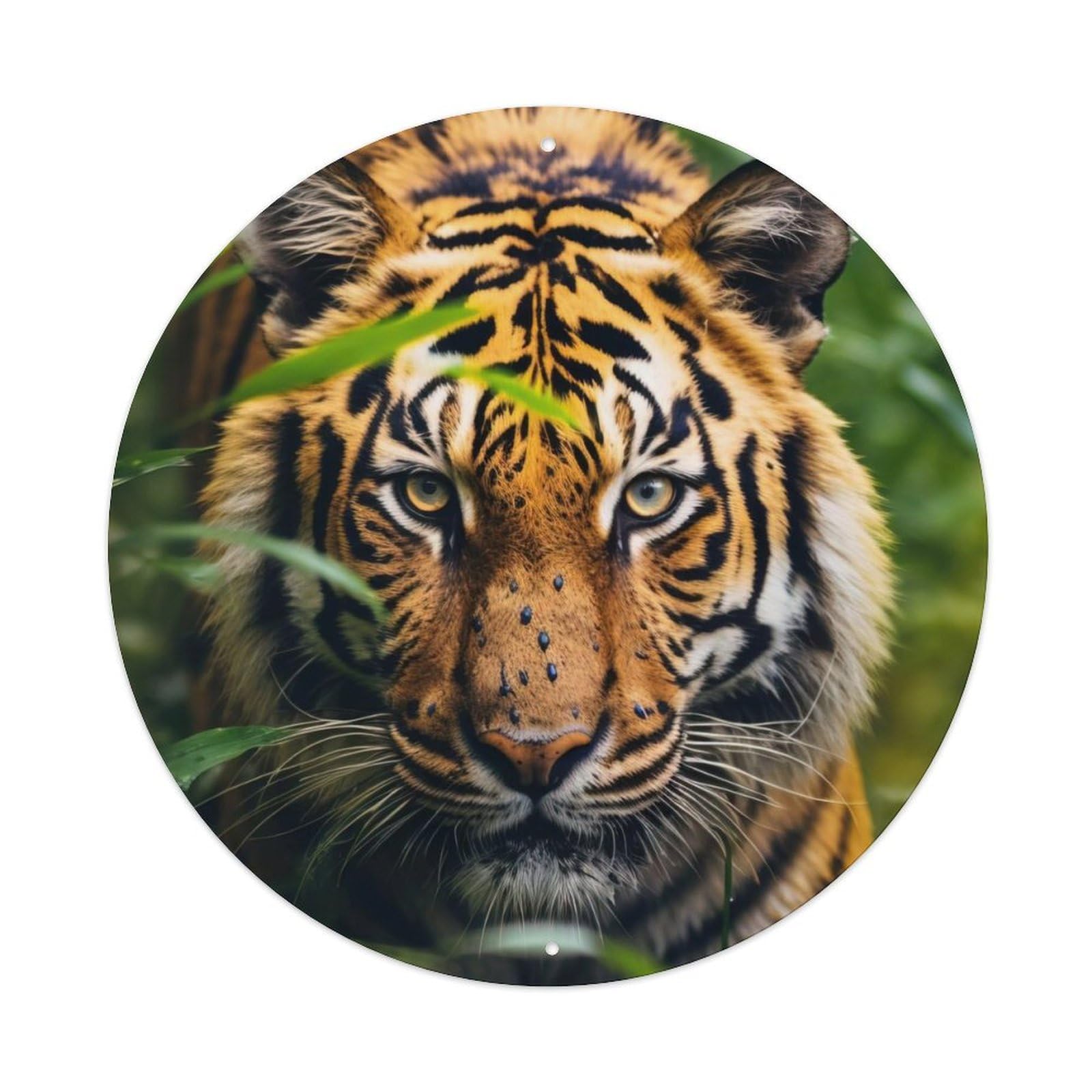 Tall And Powerful Tiger Animal Vintage Metal Tin Sign Plaque Wall Decor for Cafe, Club, Garden Round Metal Poster 8x8Inch