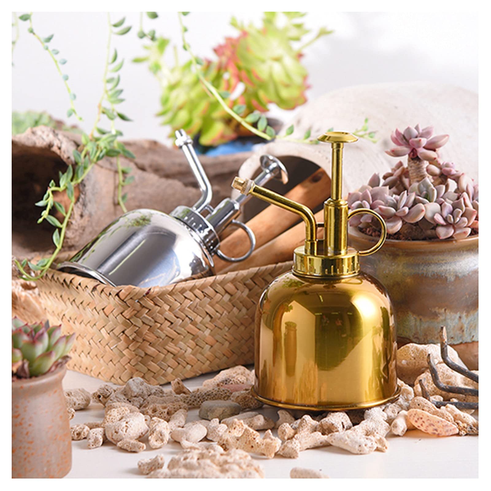 Arrosoir, arrosoir de jardin, arrosoir en acier inoxydable, mise à niveau du mini pulvérisateur de plantes, pot d'arrosage de 10 oz 300 ml for plantes de jardinage d'intérieur et d'extérieur, couleur