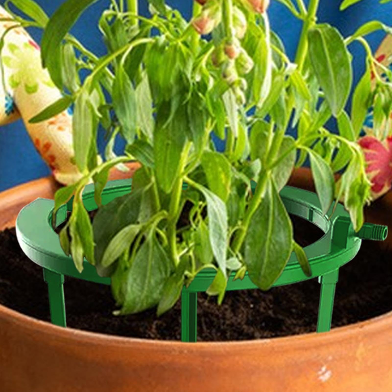 Pourquoi L'irrigation Goutte à Goutte Enterrée Révolutionne-t-elle L'aménagement Paysager Dans Le Monde Entier