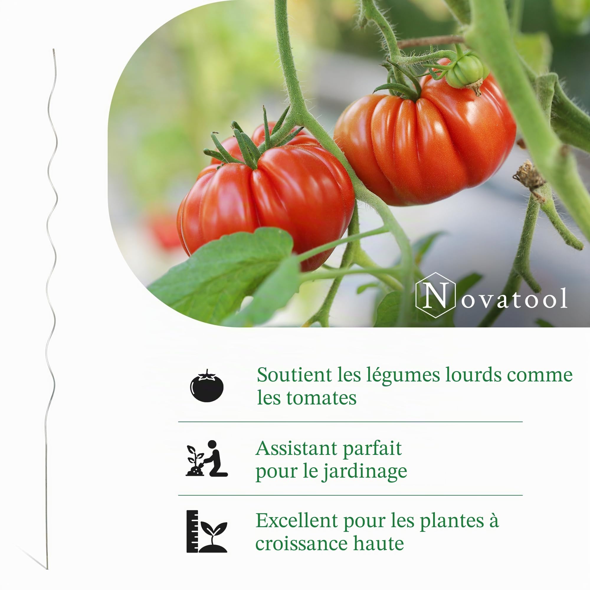 Novatool Lot de 10 tuteurs à tomates en spirale galvanisés - 110 cm x 5 mm de diamètre - 110 cm de diamètre