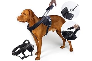 Heavy Duty Service Dog Harness with Handle