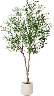 6FT Faux Olive Tree with Decorative Planter, Olive Trees Artificial Indoor with Textured Trunk, Silk Leaves and Olive Fruits, Fake Plants for Living Room, Entryway and Office Decor