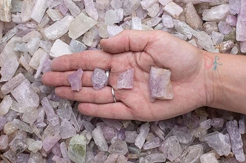 Miniatura 4 de Fantasia Materiales 12 lb Piedras ásperas de kunzita natural de Pakistán