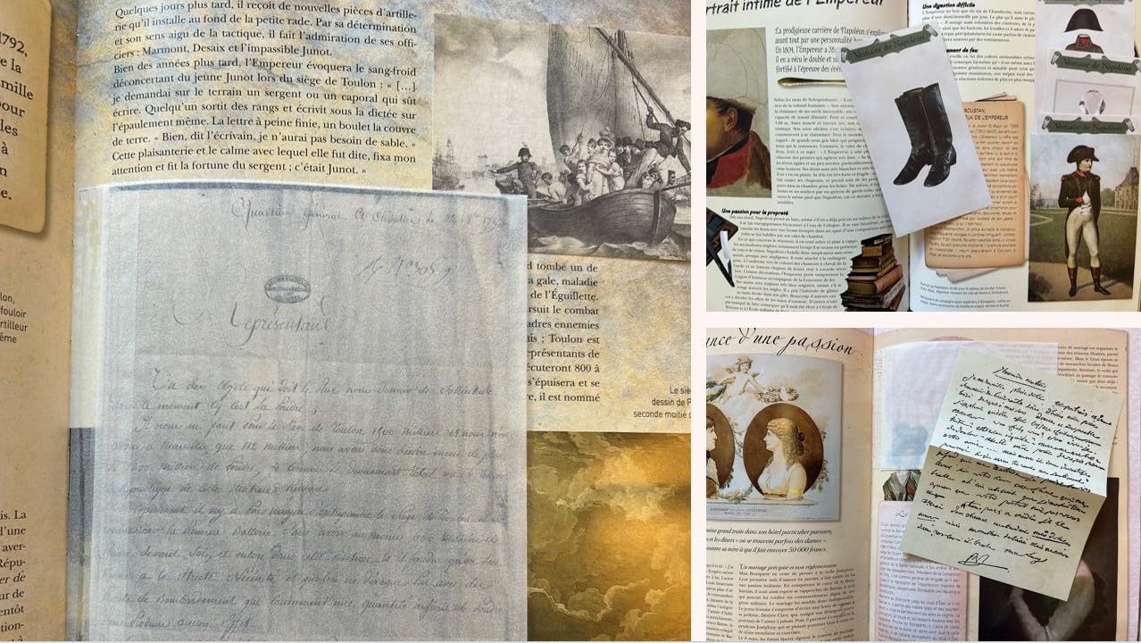 Napoléon, dans l'intimité d'un règne