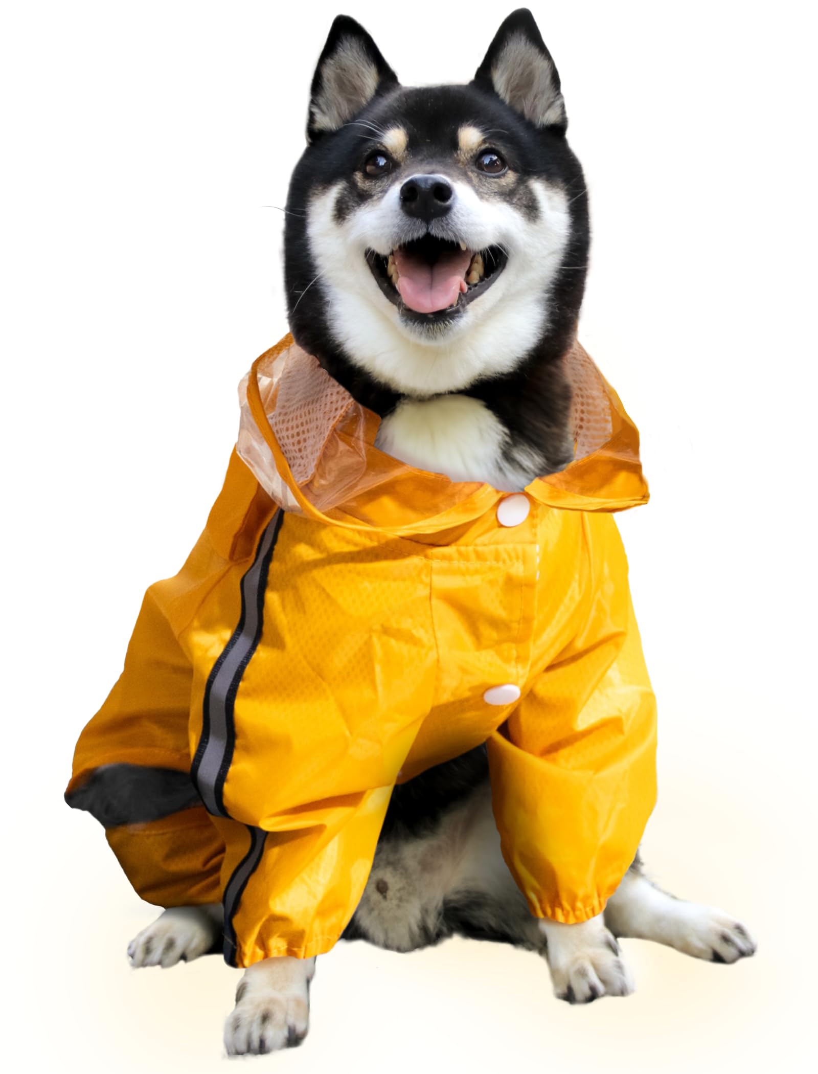 Amazon | 【コスパがGood！なレインコート】 犬 レインコート かっぱ