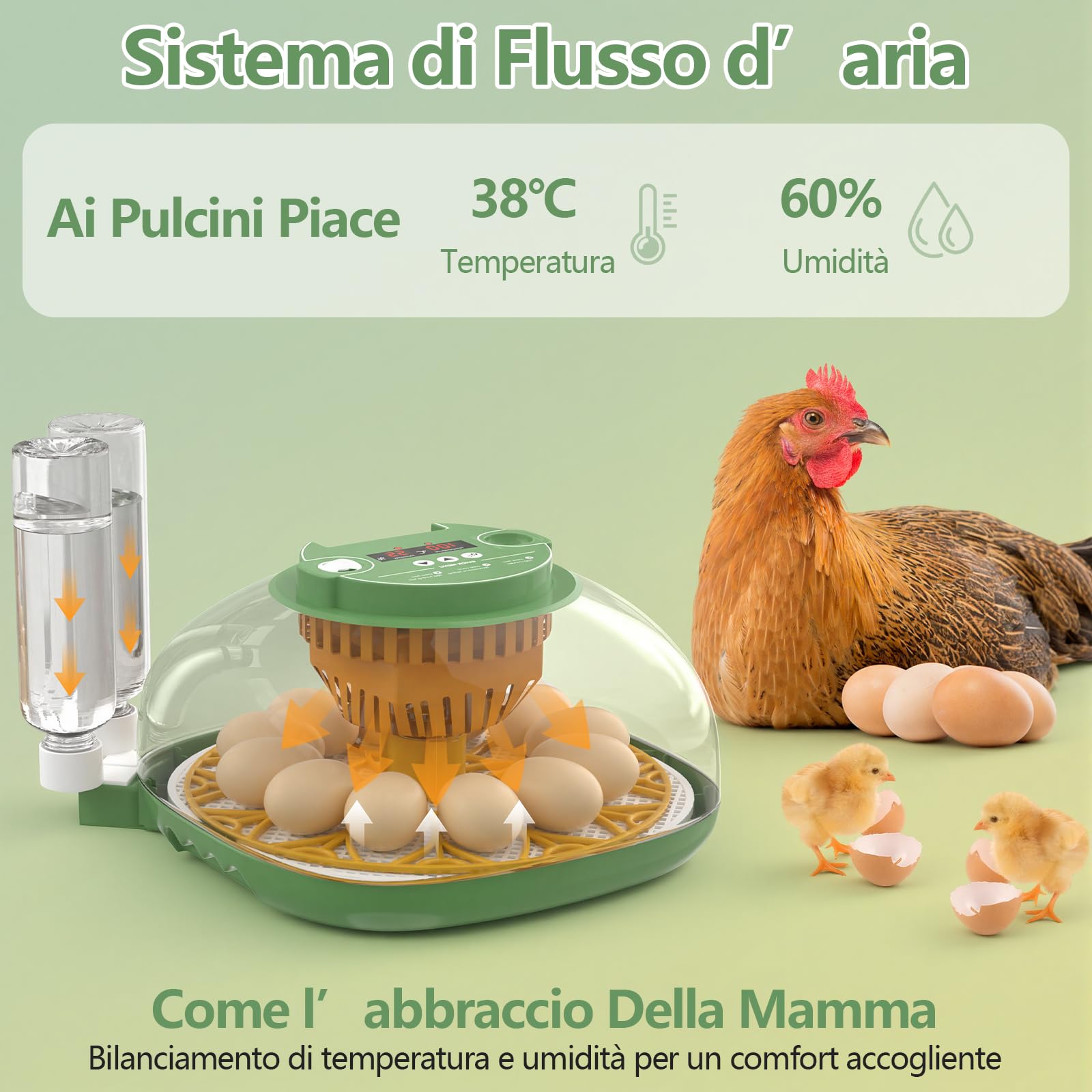 Incubatrice per Uova Automatica, Diealles Shine Incubatrice per Uova 12 con Tornitura Automatica delle Uova e Umidificazione Automatica, Incubators con Controllo della Temperatura