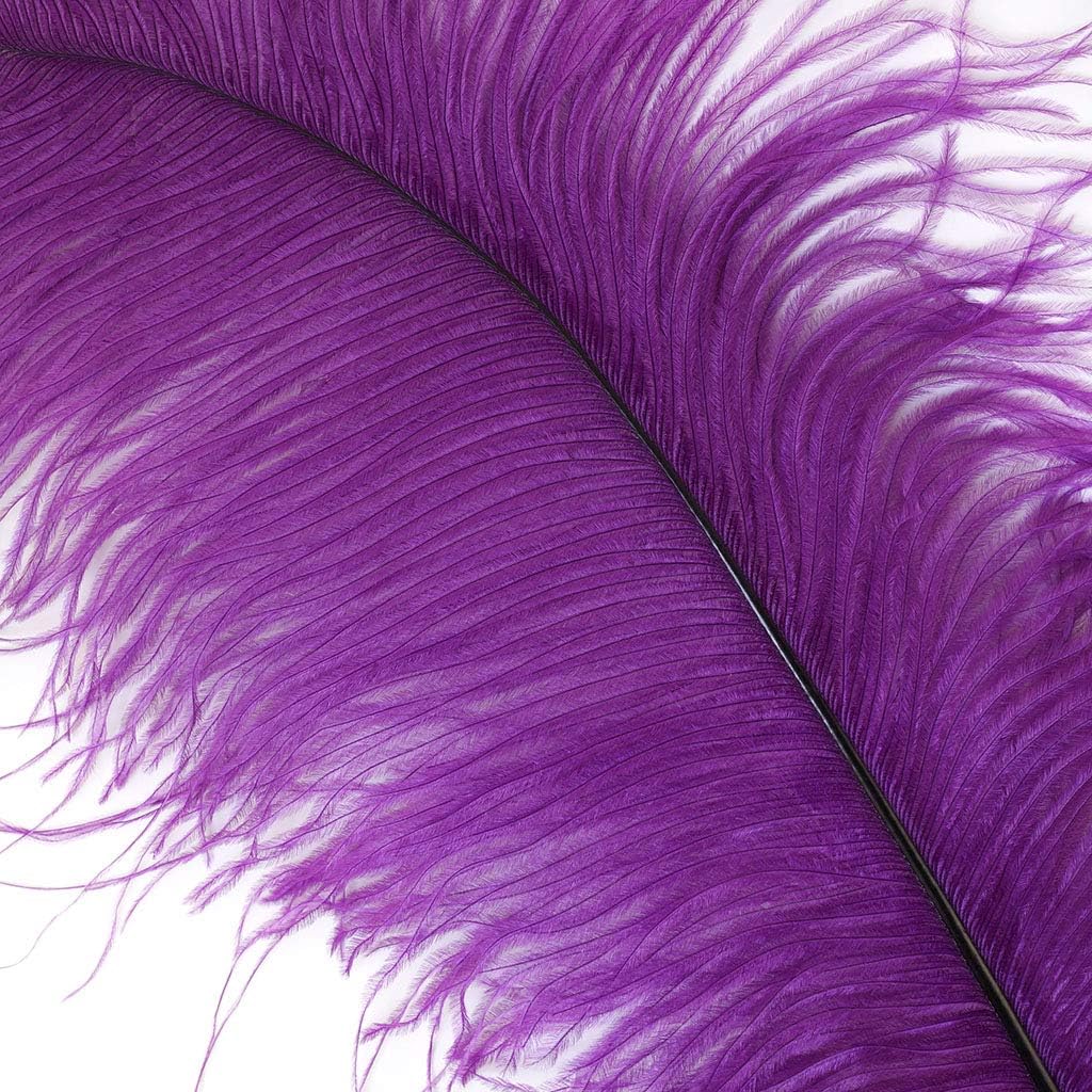 ZUCKER - Ostrich Feathers for Centerpieces- Wedding Decorations- Feathers for Crafts, 12 Pieces, 13-16 Inch, Purple