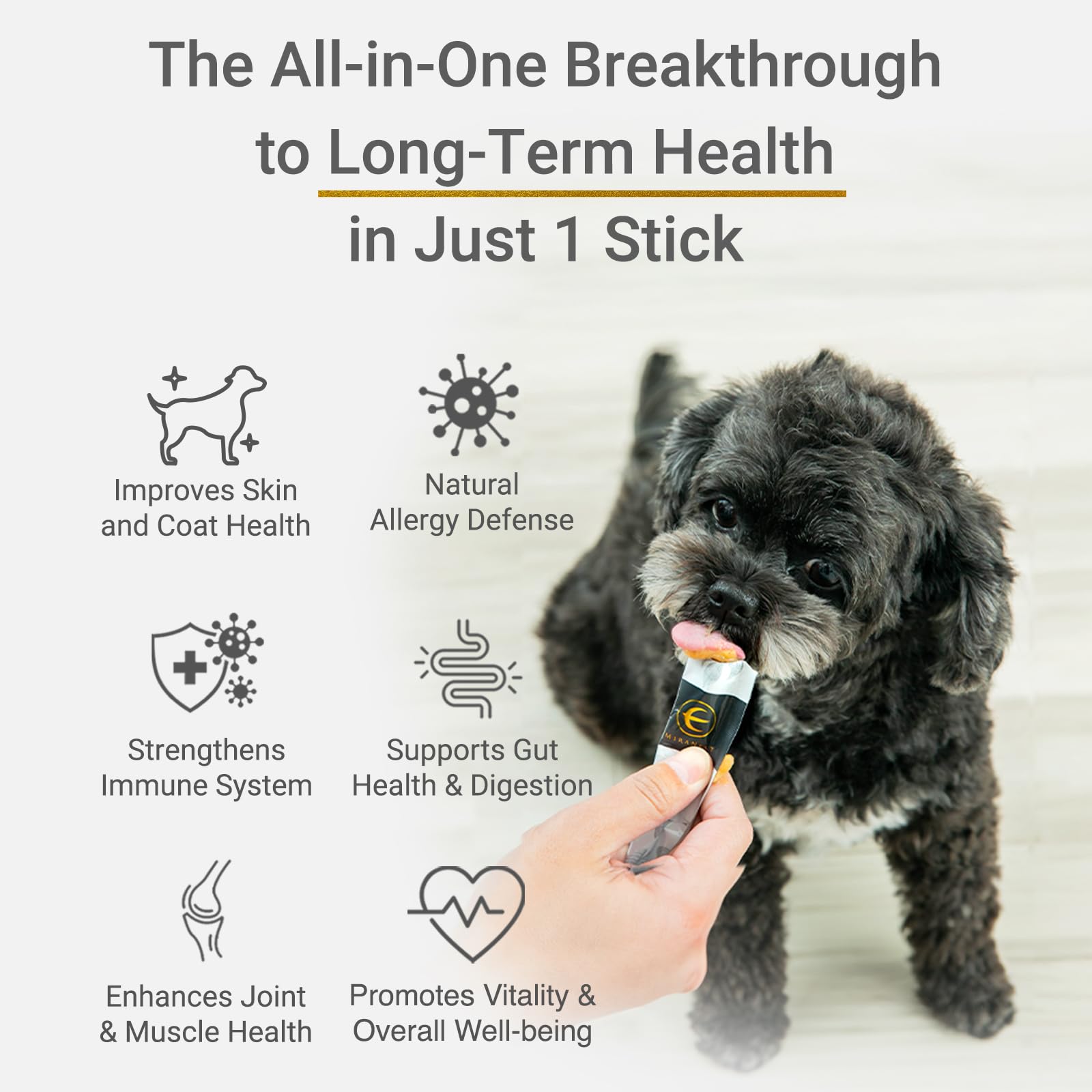 サプリメント MIRANEST Extract Jelly Stick for Dog Amazon.com : MIRANEST Jelly Stick for Dogs - Natural Swiftlet Nest