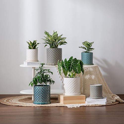 Miniatura 4 de Maceta de cerámica de 6 pulgadas maceta de cerámica con orificio de drenaje y platillo para plantas de interior y exterior, maceta redonda