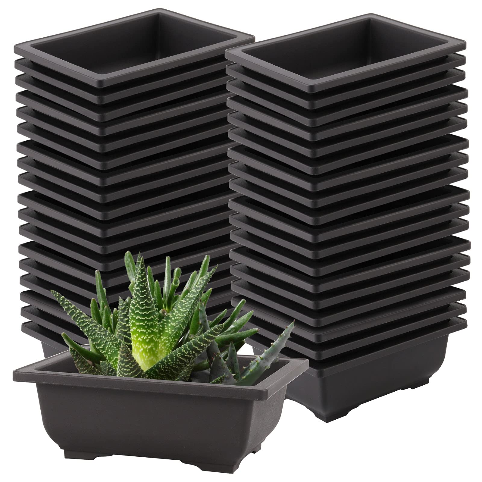 Pots plastique bonsaï SEUNMUK : lot de 30 pots rectangulaires pour balcons et terrasses fleuries