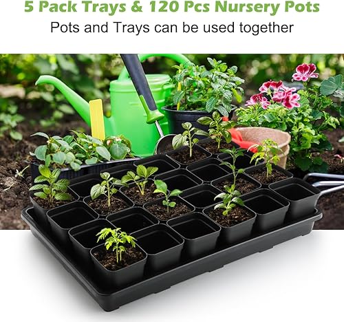 Miniatura 19 de Macetas cuadradas de 3.15 pulgadas (3.1 in), 100 piezas, bandejas resistentes para plántulas, 5 unidades, bandeja de germinación de iniciación
