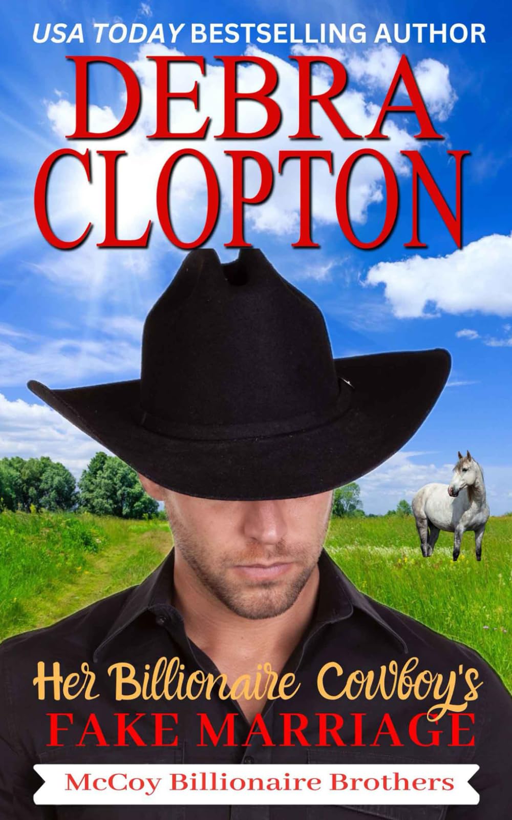 Her Billionaire Cowboy's Fake Marriage: 1 (McCoy Billionaire Brothers)