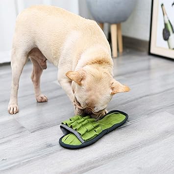 dog biting slippers
