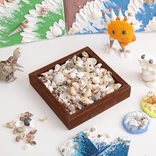 Miniatura 2 de JSPYFITS 1500 conchas marinas pequeñas mixtas de caracoles de playa con 100 perlas son adecuadas para fiestas temáticas de playa, decoración del