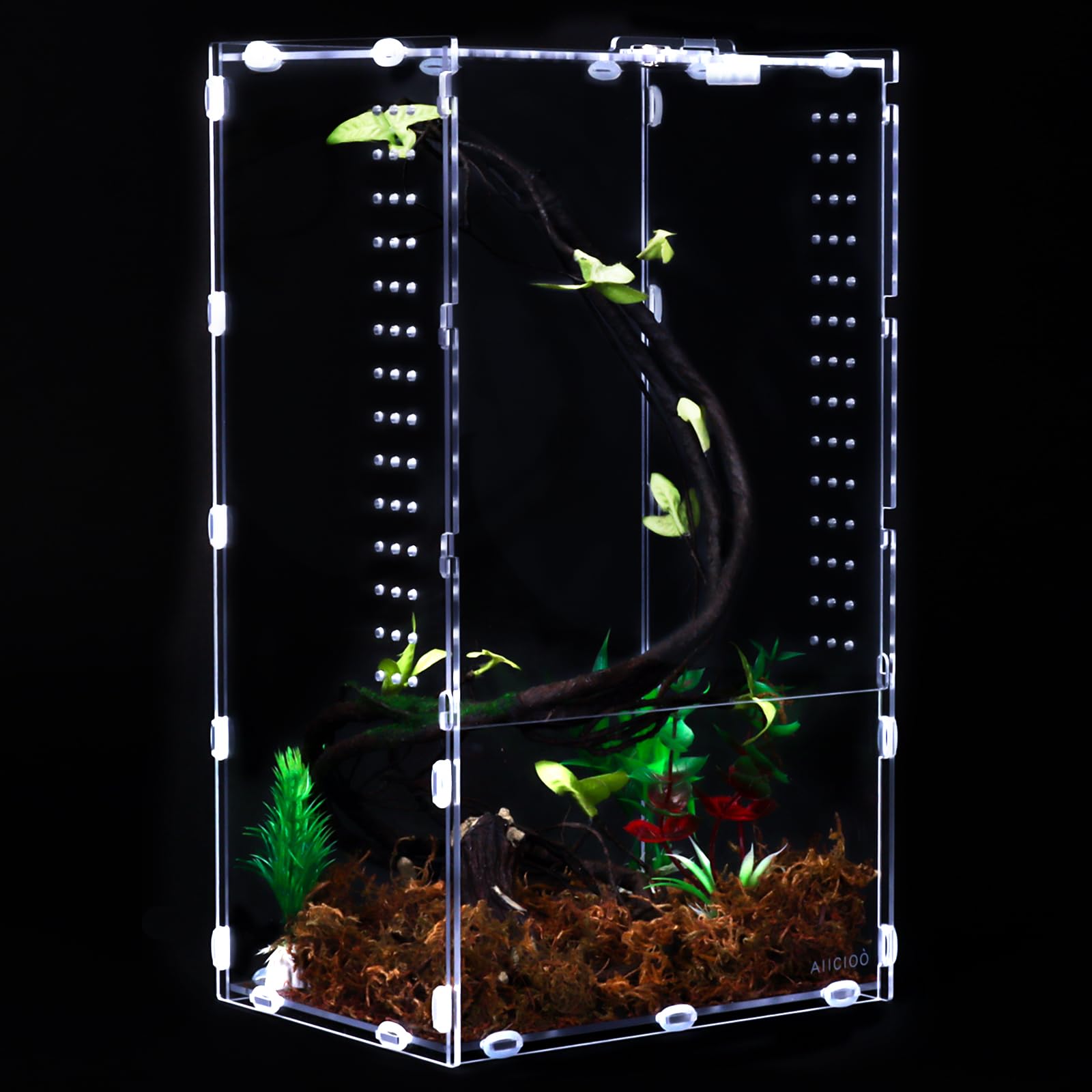 Aiicioo Micro Habitat Terrarium Enclosure 8x6x14 Inches Tarantula Enclosure Box Insect Habitat Clear Acrylic Reptile Feeding Tank for Jumping Spiders