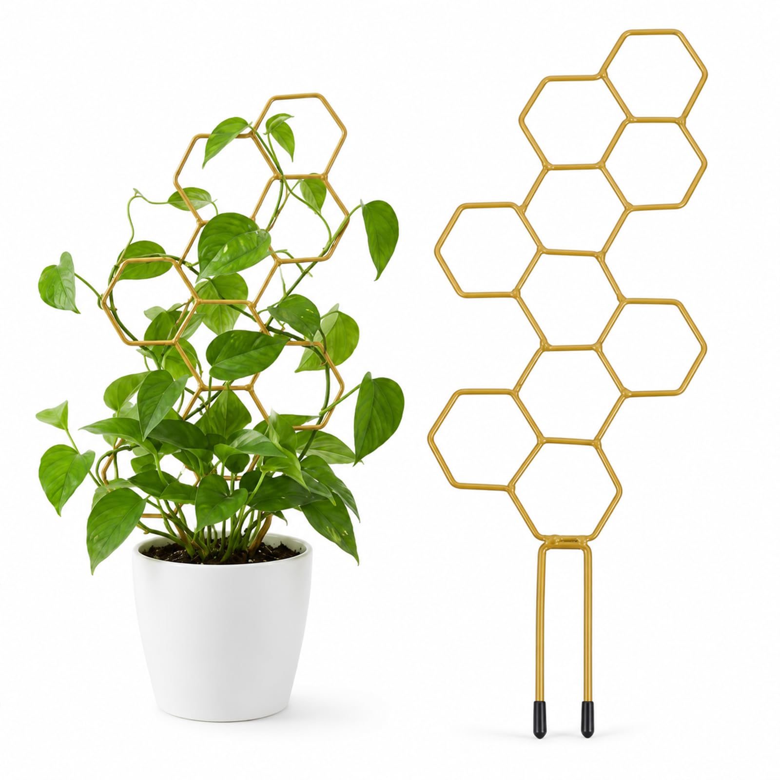 Small Trellis for Potted Plants, 35cm Honeycomb Metal Trellis