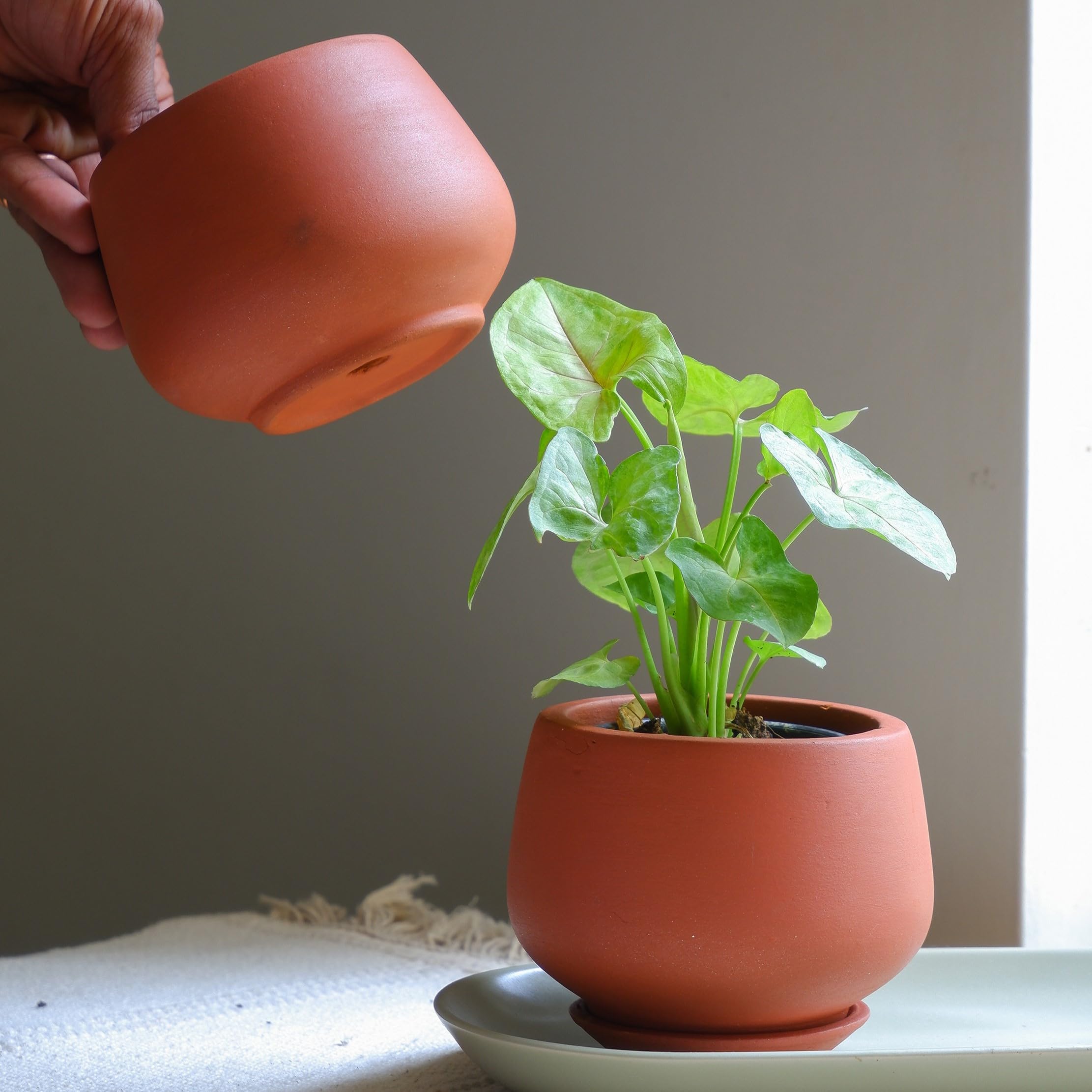 Prakrti Garden Boutique 4 inch Ivy Terracotta Pot Set of 2, Clay Pot, Plant Pot for Cactus, Succulents,Indoor Plants (Product Doesnt Include Plant) (B0CNXC34MT) Amazon Price History, Amazon Price Tracker