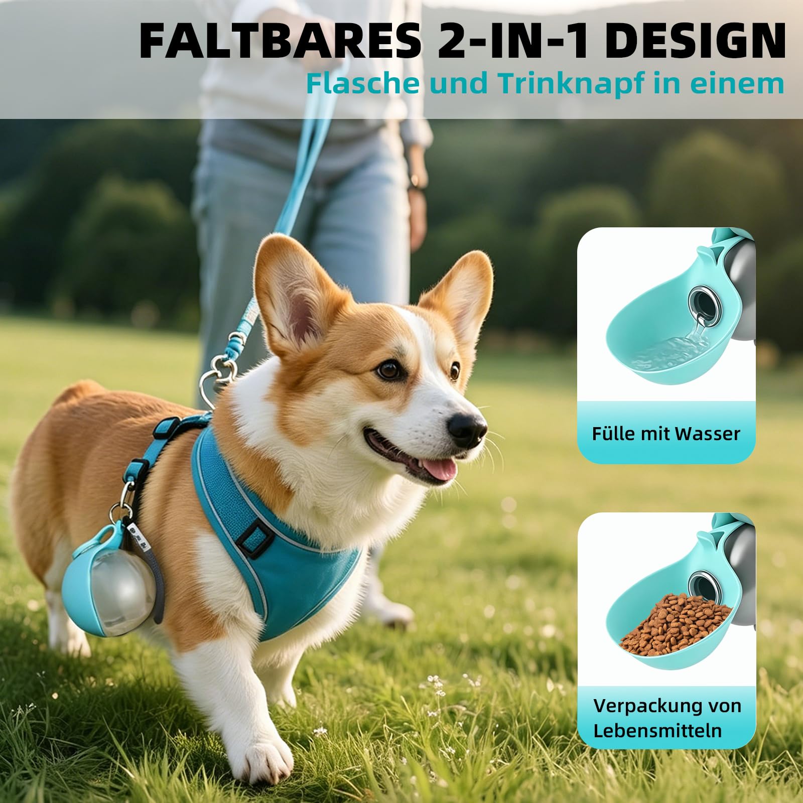 Gourde d'eau pour chien en déplacement 285ml, Bouteille d'eau en acier inoxydable avec système anti-retour, Gamelle pliable en silicone pour chien, Bouteille d'eau pour chien à emporter pour