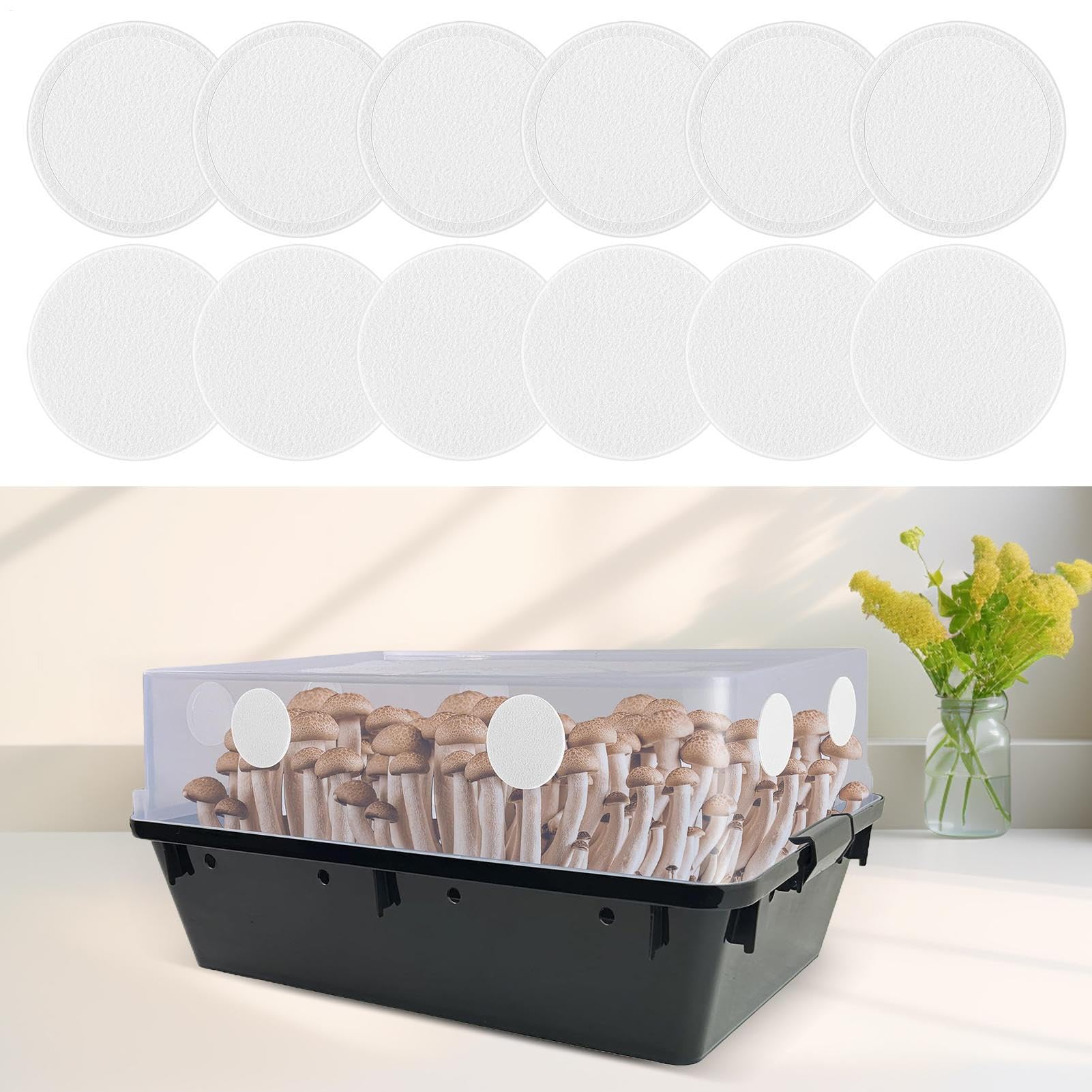 Disco Filtro Tubo - Hoja Filtro champiñones, Parche Filtro champiñones, Almohadillas Filtro champiñones, Filtro Tubo único | Filtros Caja Cultivo 24x para Suministros Creciente en Hongo a
