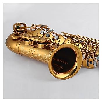 ゴールド サックス本体 Amazon.co.jp: TSTS 初心者のためのEフラットアルトサックス