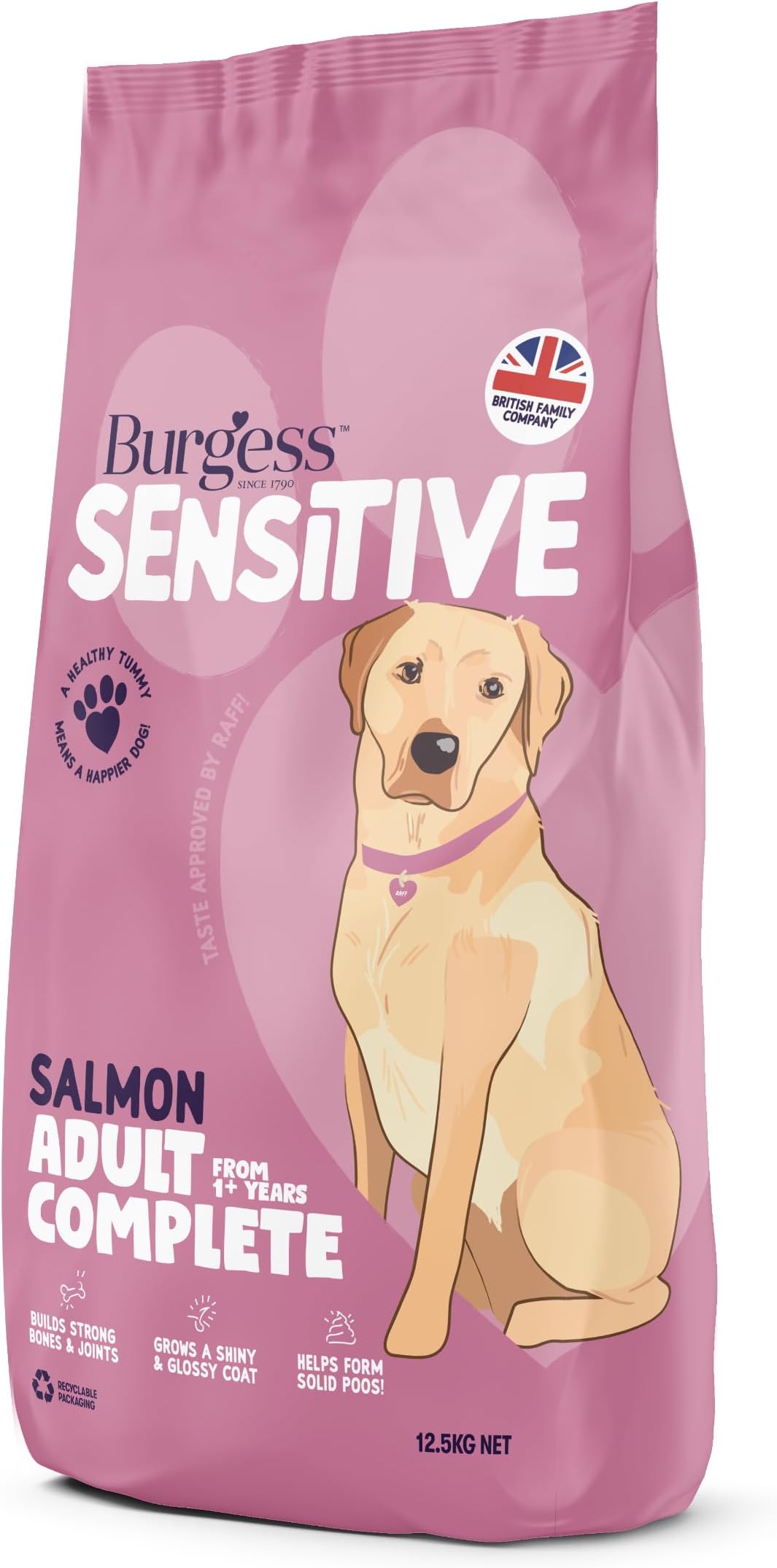 Burgess Sensitive Adult Salmon Dry Dog Food 12.5KG
