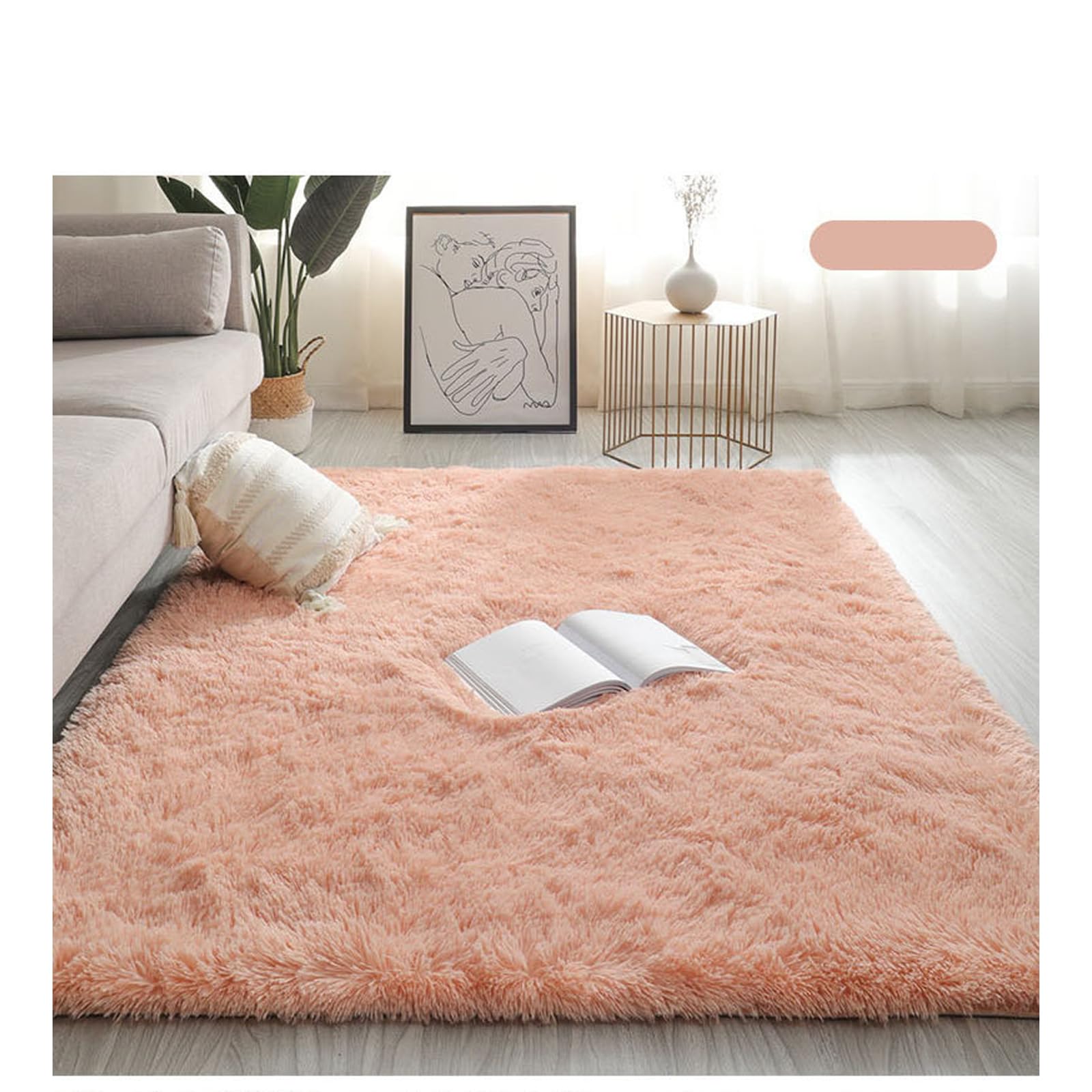 Rug, 4X6 Modern Rug, Soft Fluffy, Large, Shaggy, Bedroom,Luxury, Shag Area, Non-Slip(C,2ft*3ft)