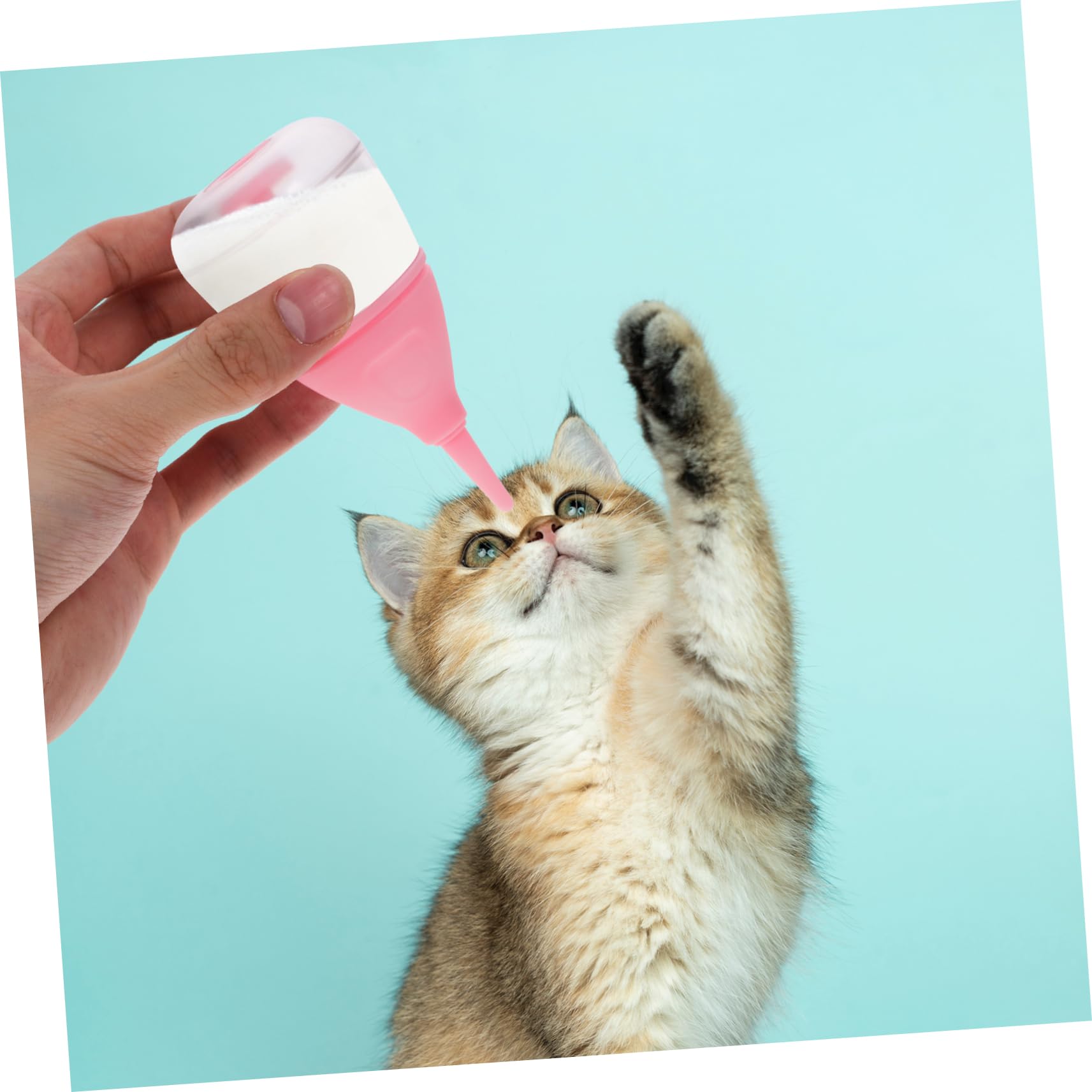 Toddmomy Safe for Pets Small Pet Feeding Bottles Nursing Bottle for Newborn Puppies Kittens