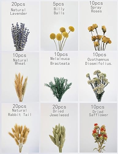 Miniatura 2 de Juego de flores secas naturales, flores secas a granel para jarrón, flores secas con tallos, rosas secas, mini ramos de flores secas (marrón)