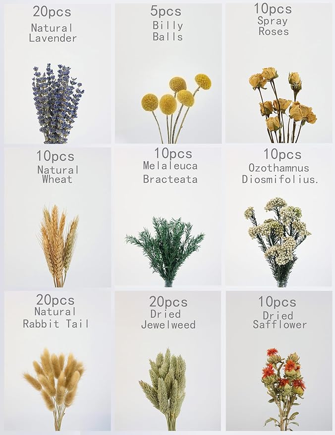 Set Natural De Flores Secas Para Jarrón, 9 Piezas Decorativas miniatura 2