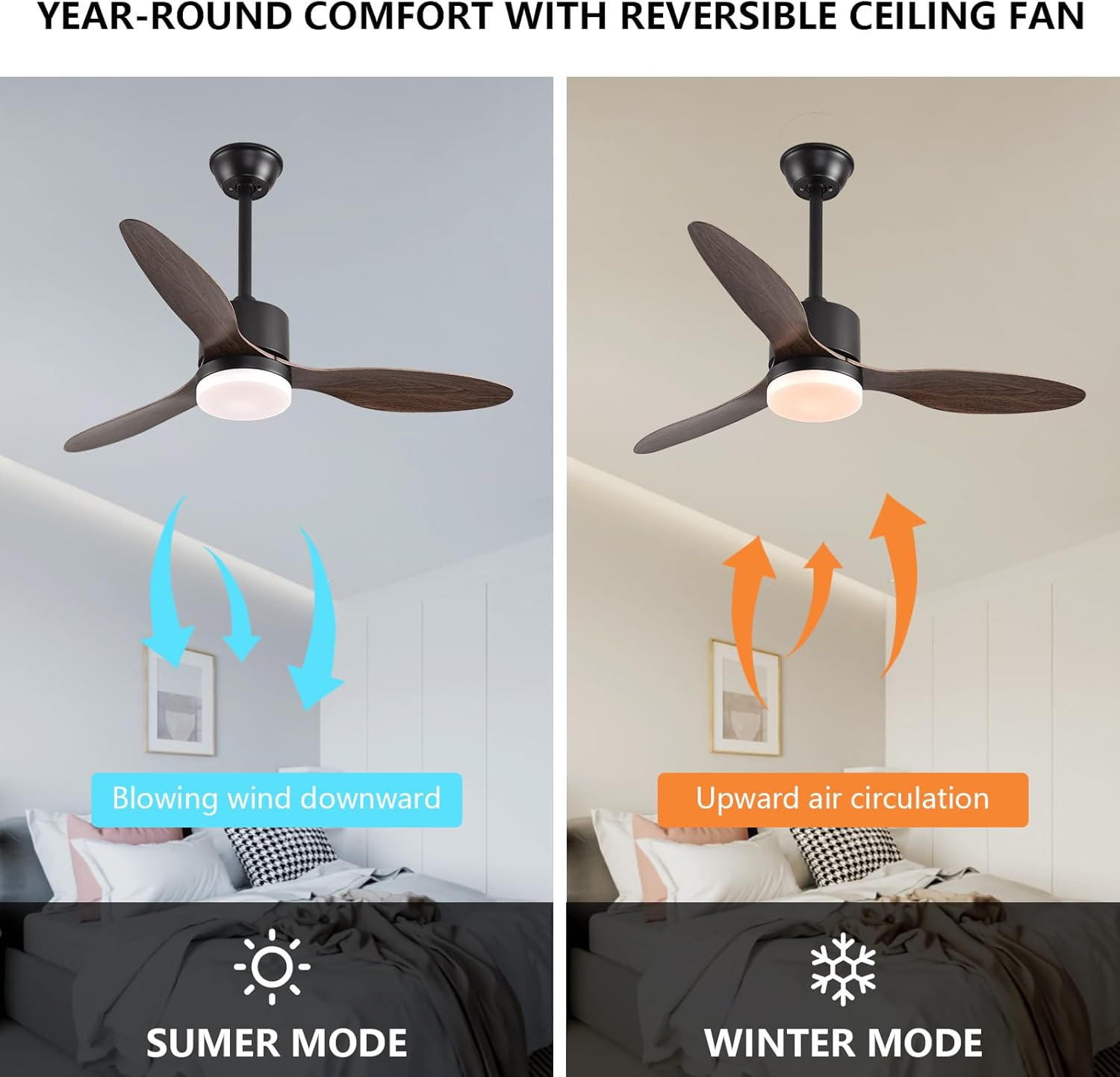 https://m.media-amazon.com/images/I/71D1vGJmnNL._AC_SL1500_.jpg