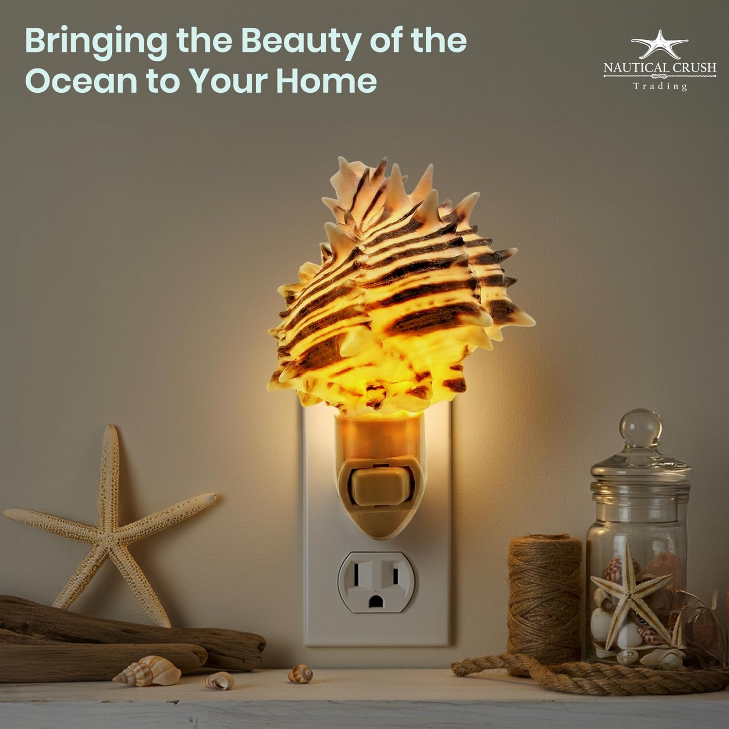Seashell Night Light – Black Murex Nautical NightLight – Shell Light for Bathroom – Sea Shell Lamp – Seashell Lamp Plug Into Wall