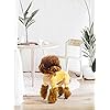 Product Photo 6