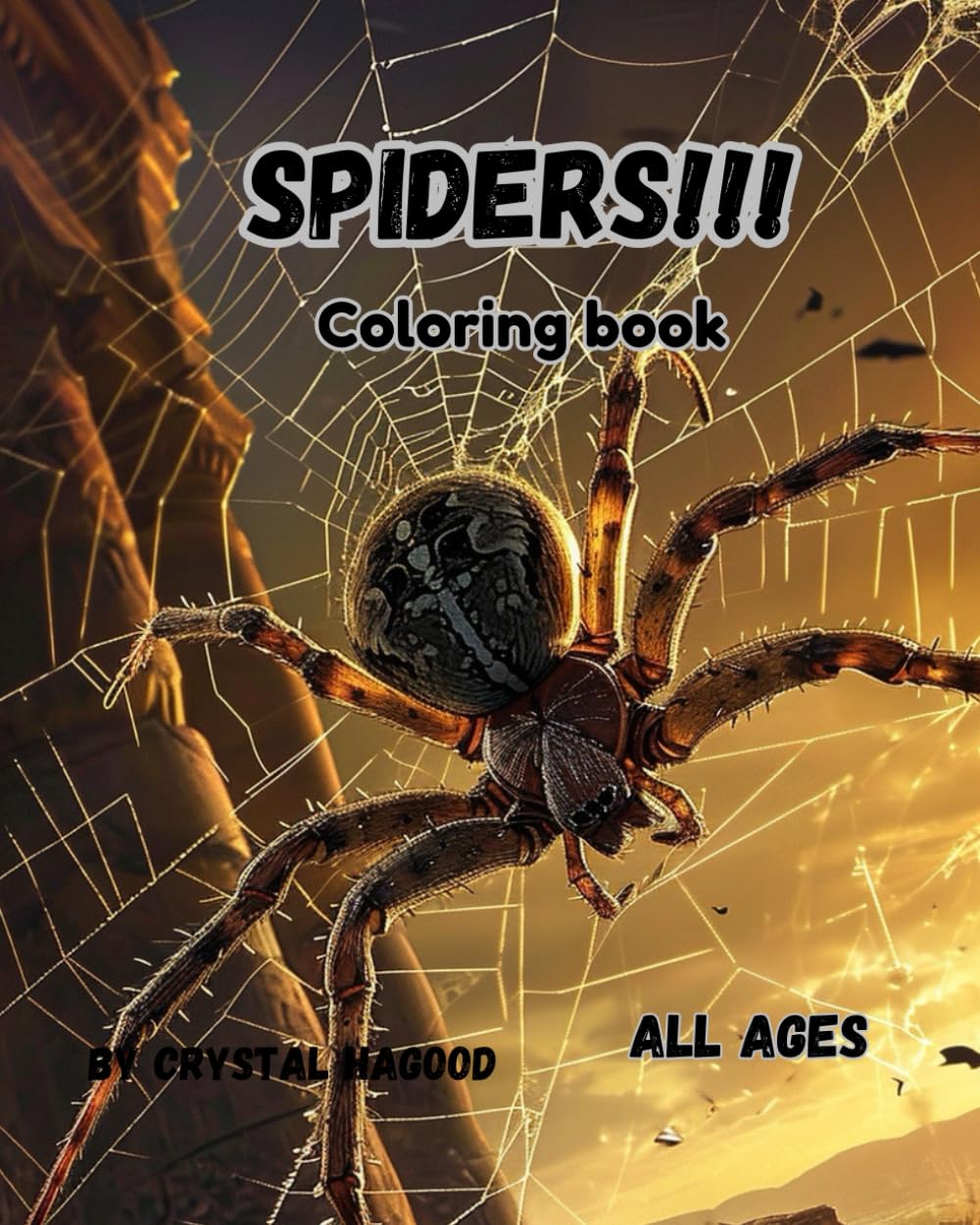 Spider Mandalas: Spiders in their webs