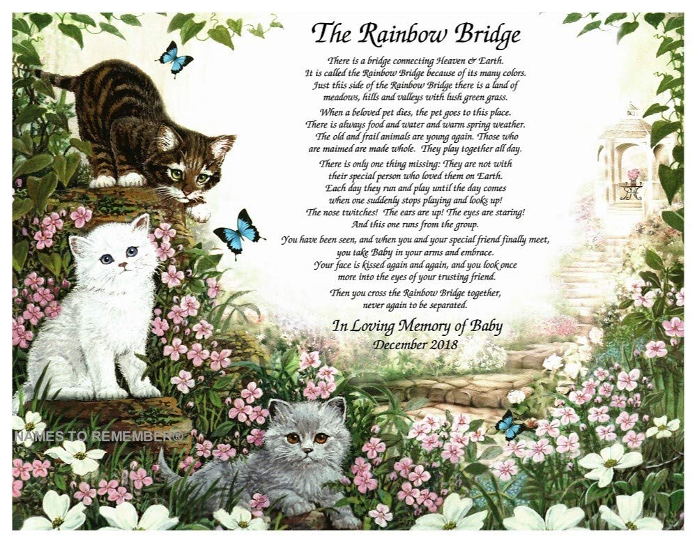 NAMES TO REMEMBER Rainbow Bridge Pet Bereavement/Memorial Poem Gift For Loss of Your Beloved Cat w/Forest Green & Frosted Gold Dual Mat by Names To Remember