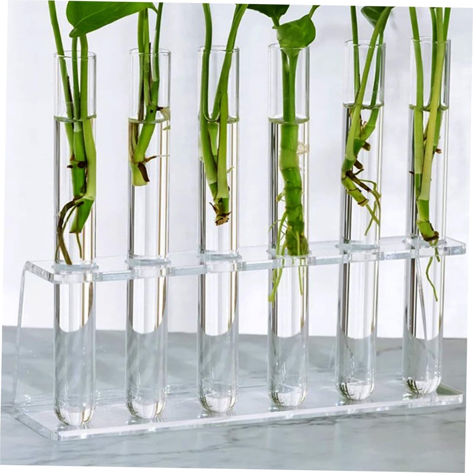 Estante de tubo de prueba de acrílico, Classroom Scientific - Soporte de exhibición for tubos ensayo (acrílico, transparente, 22 x 9 cm, 2 unidades)
