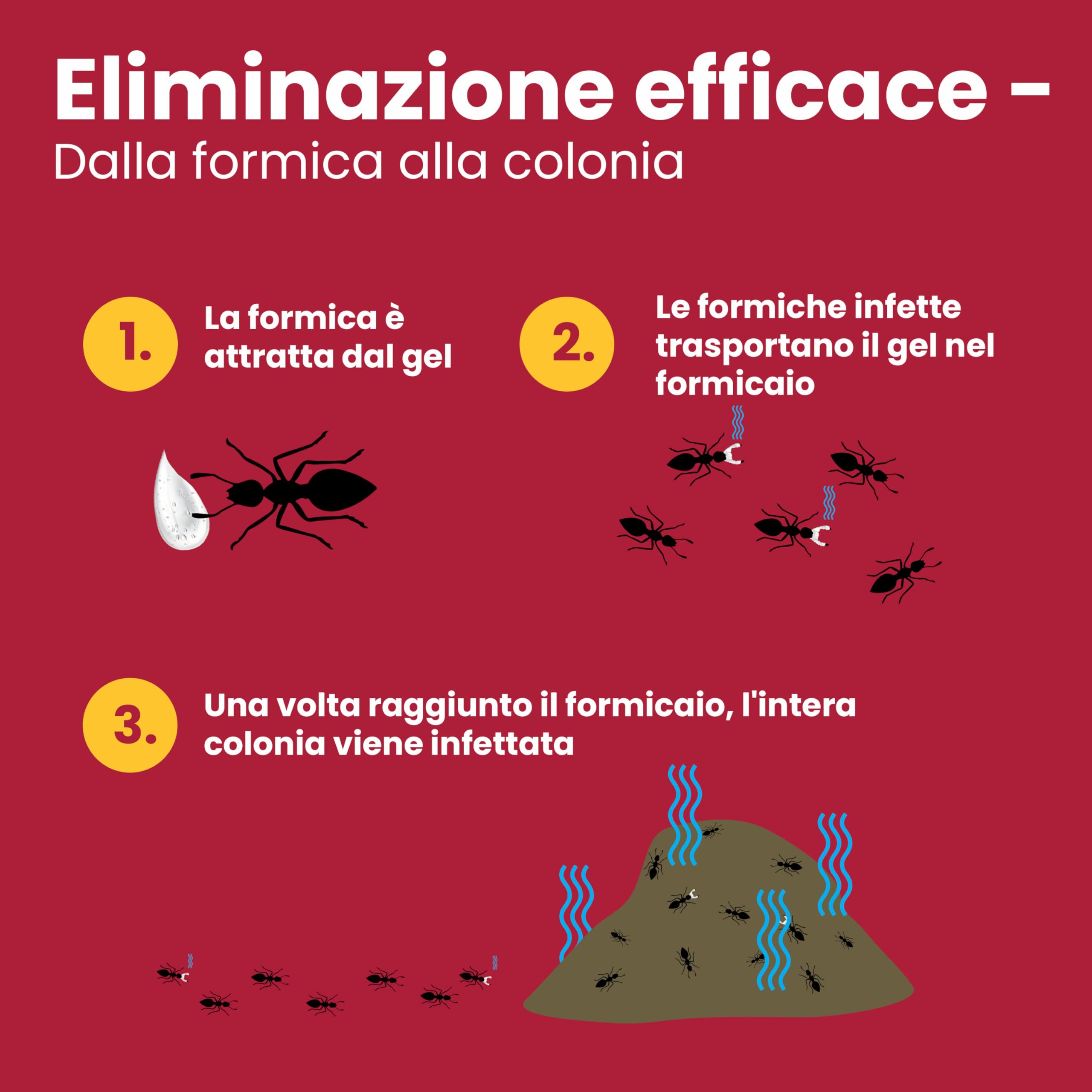 LERAVA Gel Insetticida Formiche 10 g - Esca Potente per Eliminare Colonie - Anti Formiche