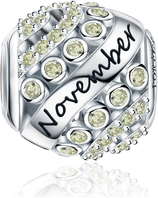 FOREVER QUEEN Women's Birthstone Charms for Bracelet 925 Sterling Silver Bead Charms,Birthday Gift With Jewelry Box