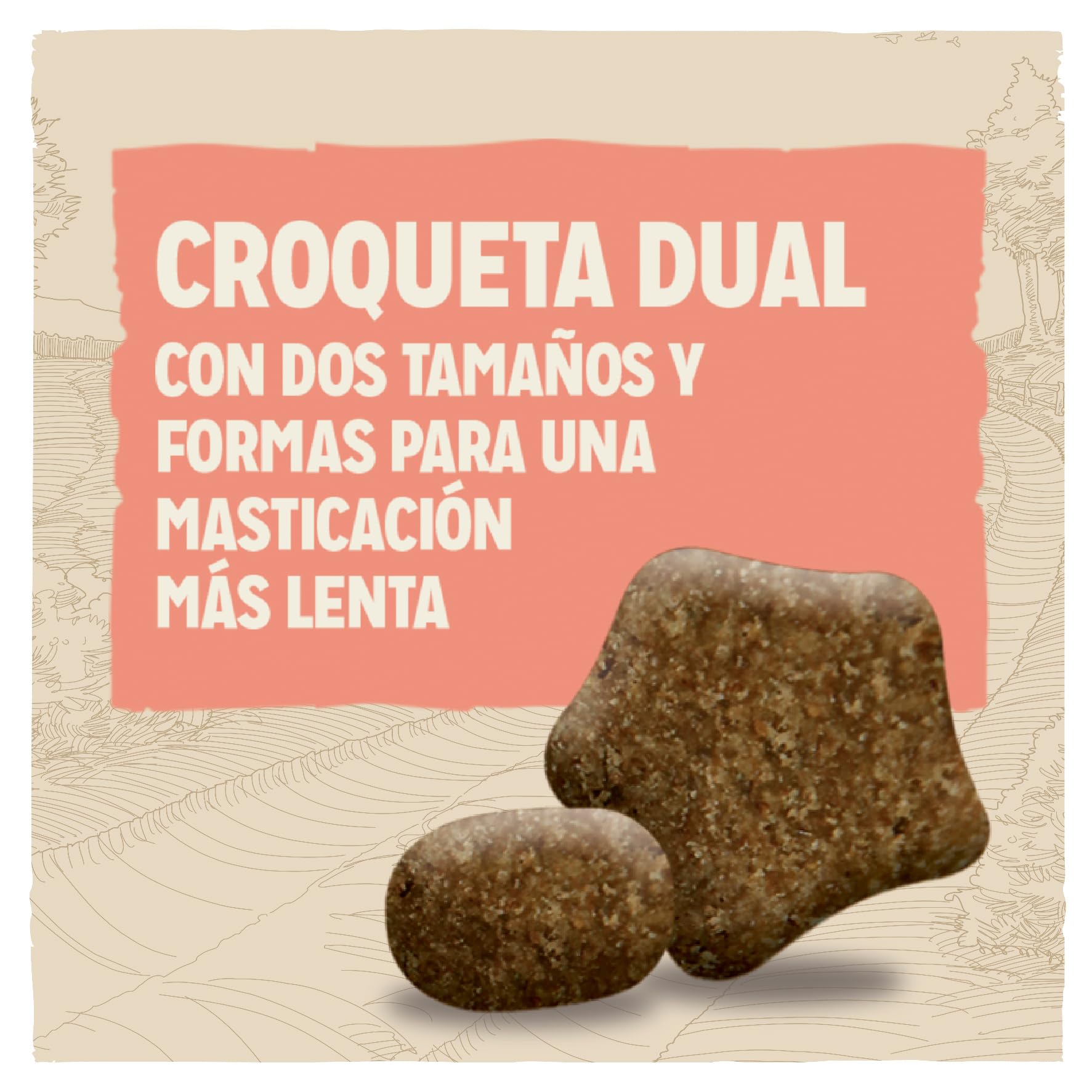 Purina Dog Chow Pienso para Perro Adulto con Digestión Sensible con Salmón, saco de 14kg