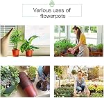 JERIA 100-Pack 6 Pots de chambre de bébé en plastique de pouce 100 Étiquettes de Pcs, Pots de démarrage de semences,Contenant de plantes de fleurs pour suceurs, Découpes, Transplantation